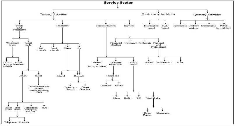 Mind Map of tertiary Activities